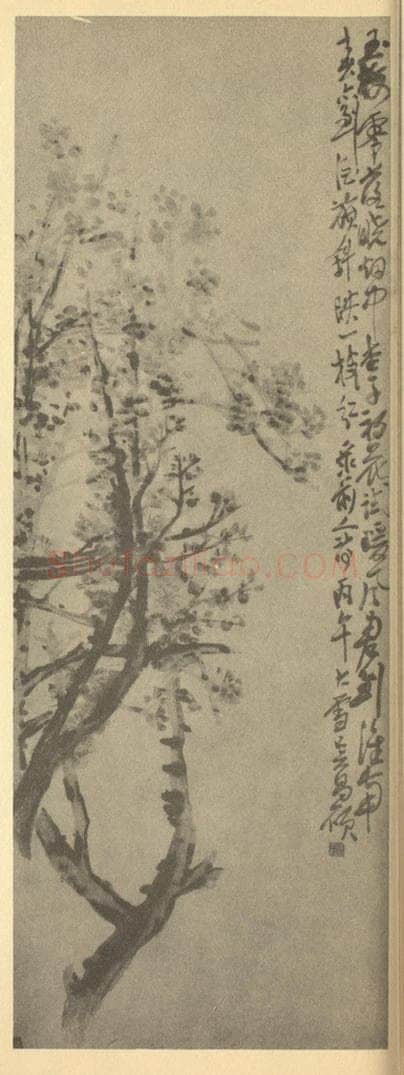 清 吴昌硕《杏花》国画作品