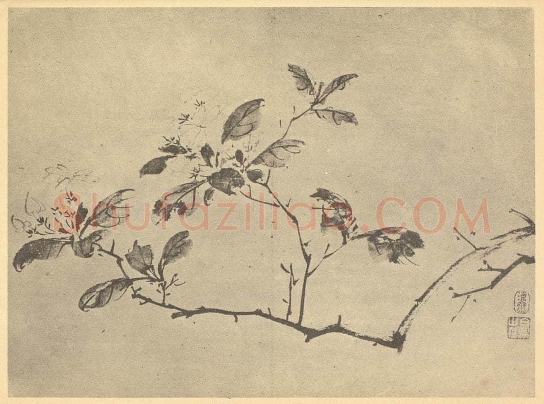 明 陈淳《茉莉》国画作品