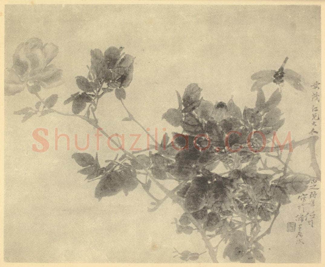 清 任颐《画蔷薇蜻蜓》国画作品