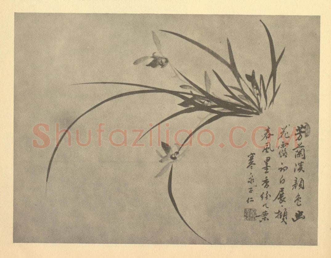 清 释寒泉《兰》国画作品