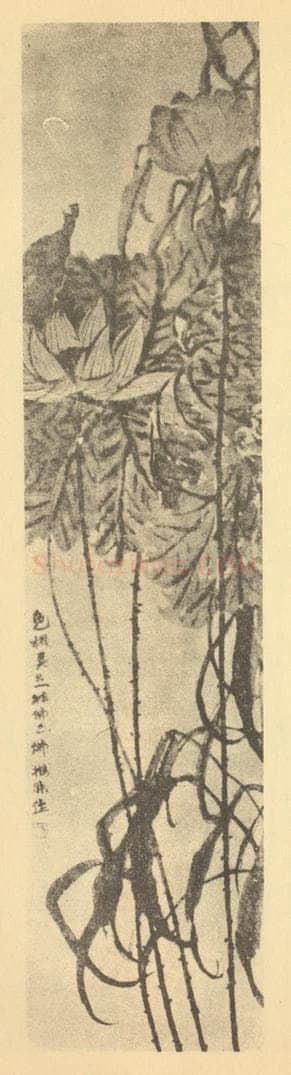 清 赵之谦《荷花图》国画作品