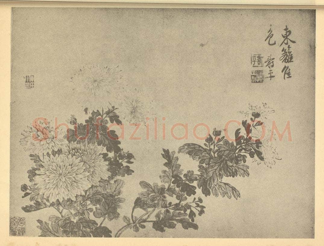 清 恽寿平《菊》国画作品