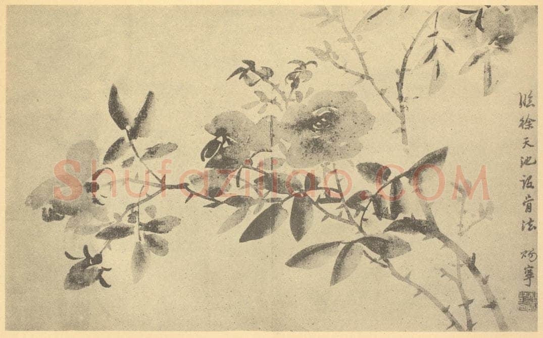 清 张赐宁《蔷薇》国画作品