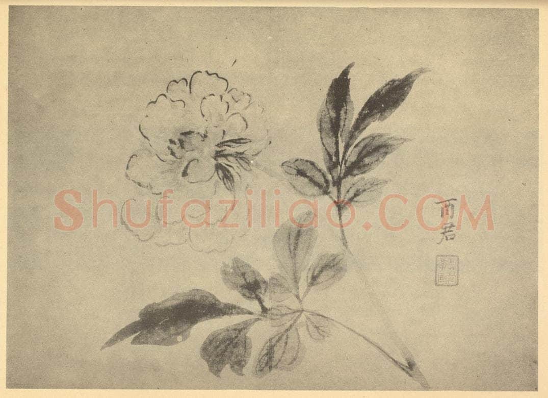 清 蒋廷锡《牡丹》国画作品