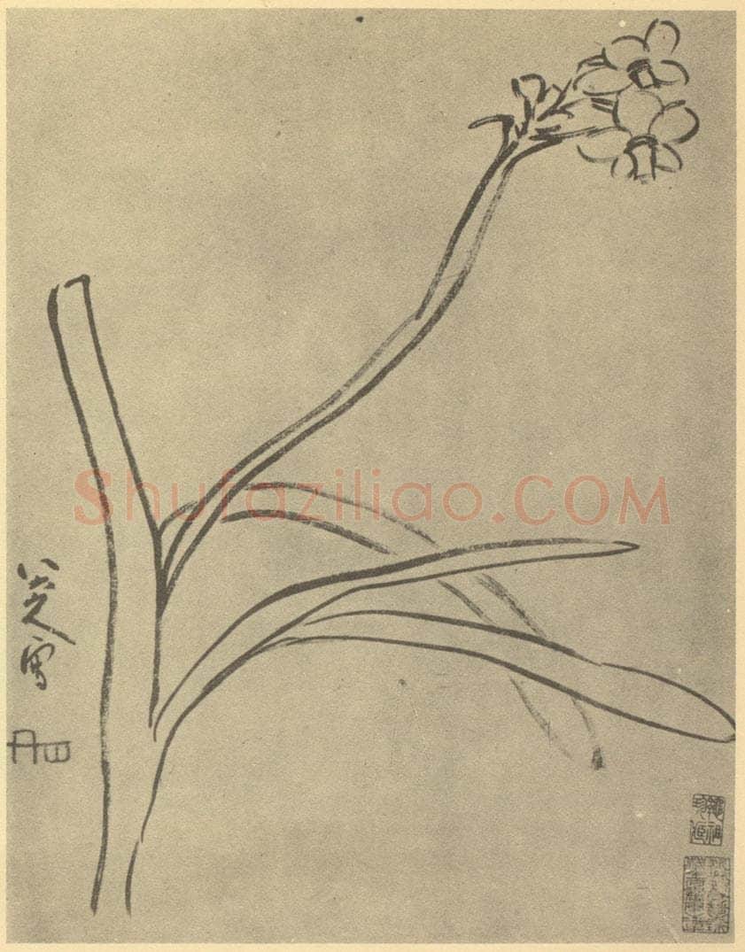 清 朱耷《水仙》国画作品