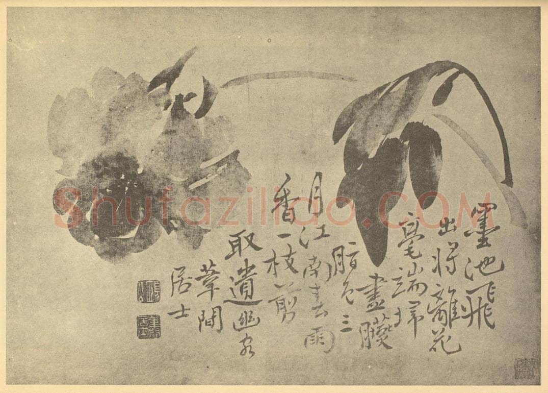 清 边寿民《牡丹》国画作品
