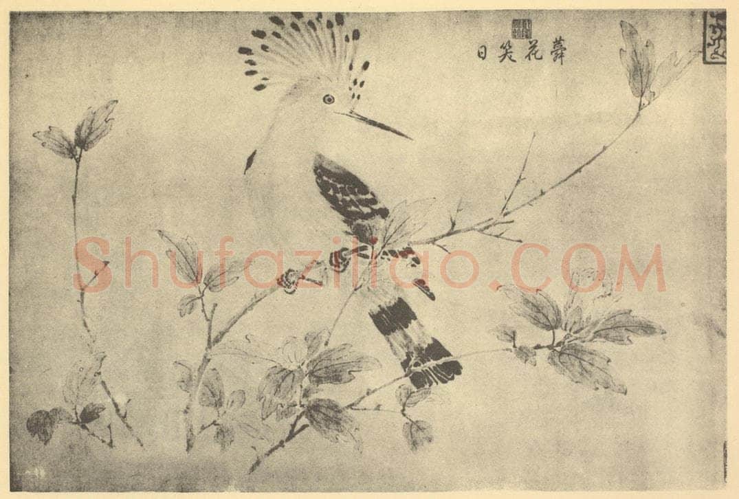 宋·辽 宋人《蕣花笑日》国画作品