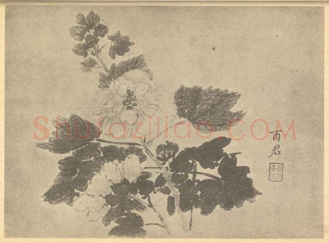 清 蒋廷锡《秋葵》国画作品