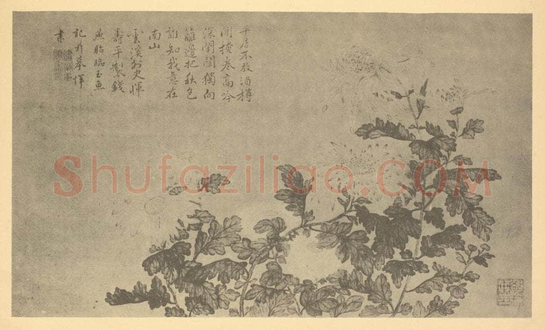 清 钱燕贻《菊》国画作品
