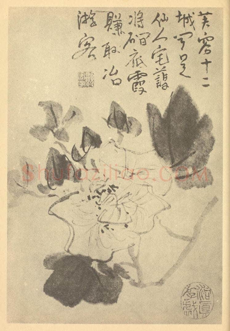 清 顚道人《芙蓉》国画作品