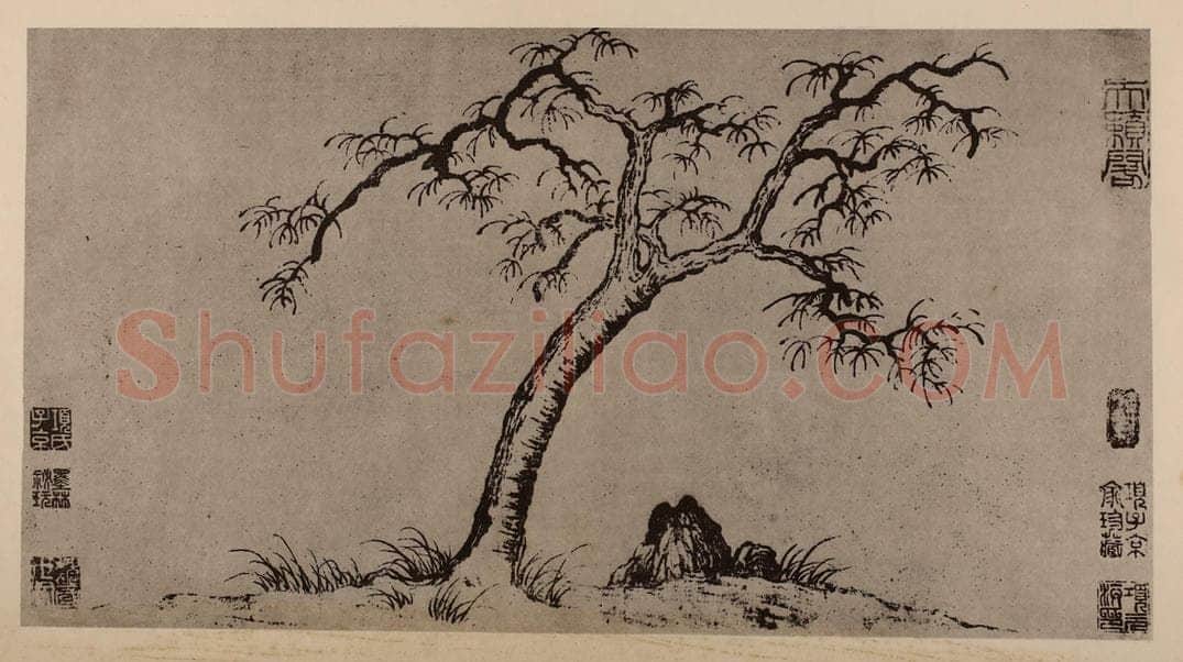 元 赵孟俯《枯树图页》国画作品