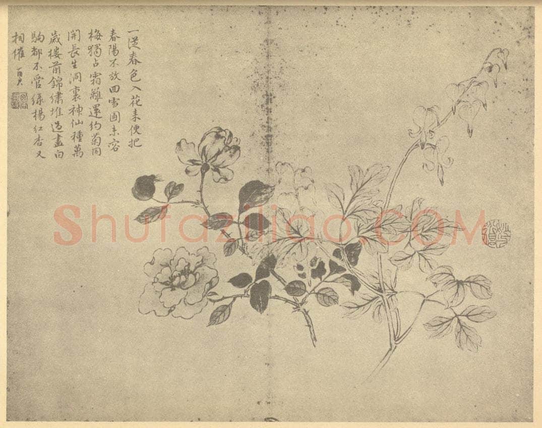 清 蒋廷锡《蔷薇鱼子牡丹》国画作品