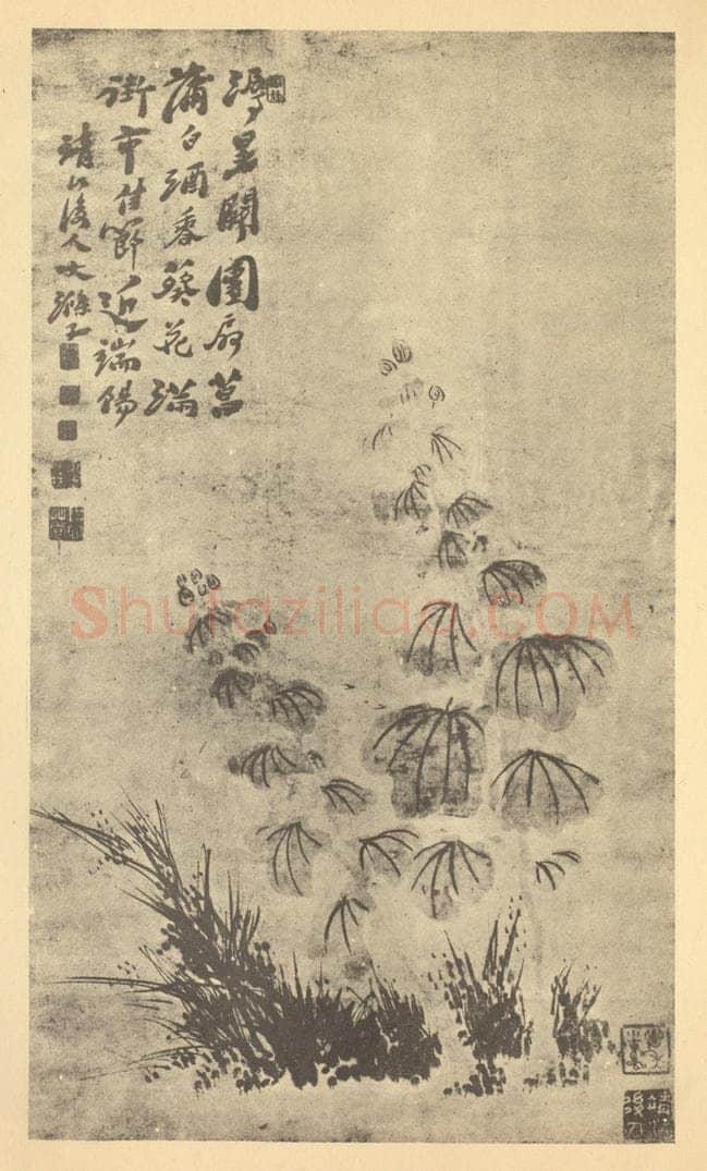 清 道济《秋葵图》国画作品