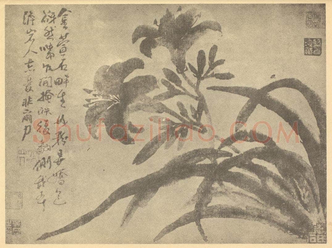 明 徐渭《萱草》国画作品