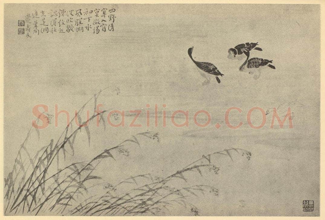 清 边寿民《芦雁图(九)》国画作品