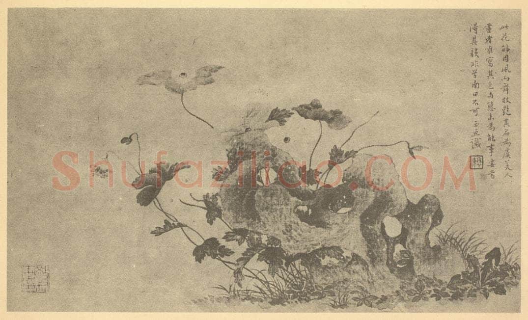 清 钱东《罂粟图》国画作品