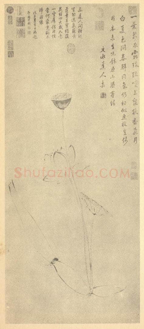 明 文嘉《莲藕净因图》国画作品