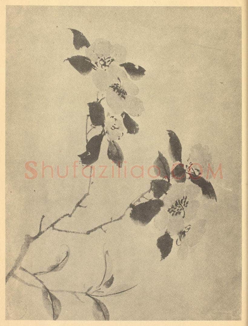 明 陈淳《山茶》国画作品