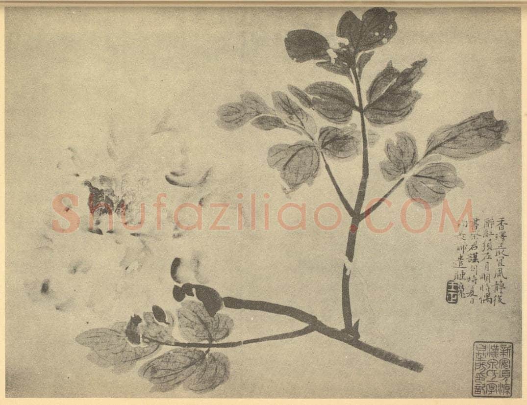 清 王正《牡丹》国画作品