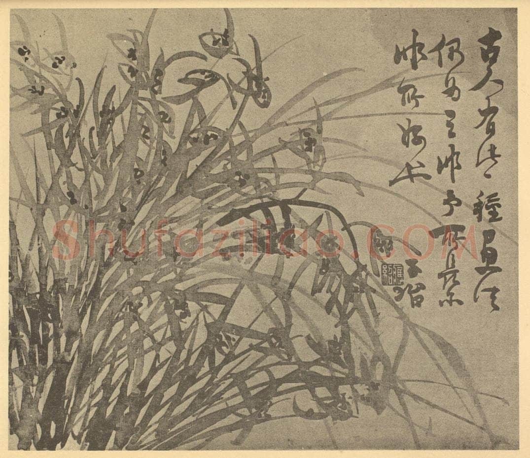 清 瞿应绍《兰》国画作品