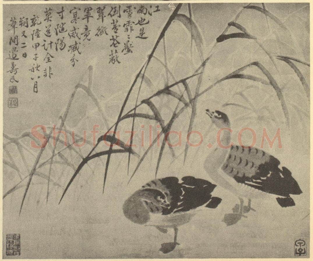 清 边寿民《芦雁图(四)》国画作品