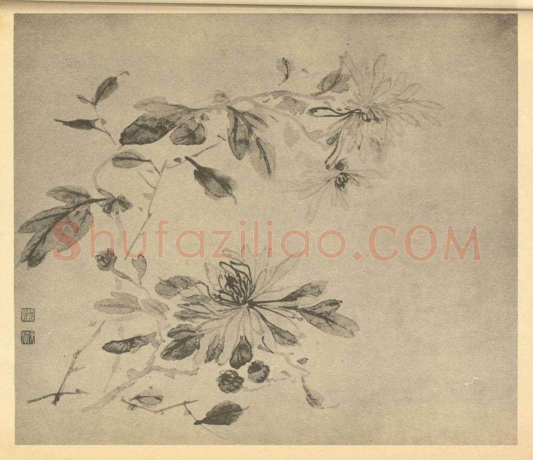清 尤英《菊》国画作品