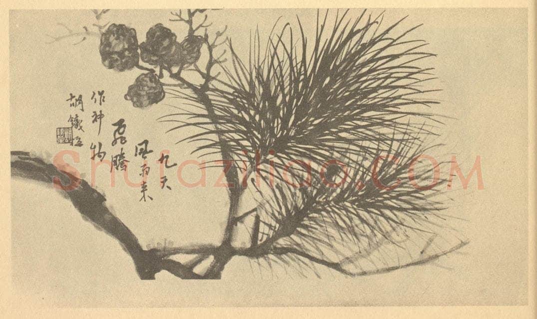 清 胡璋《松子》国画作品