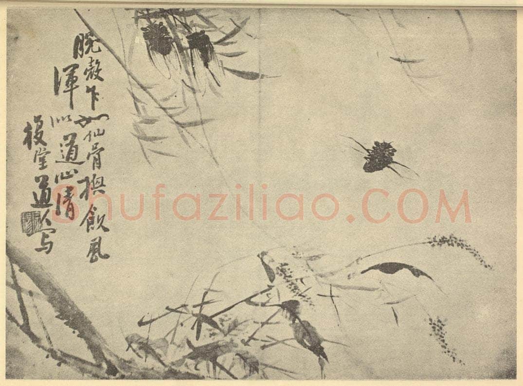 清 李鳝《秋蝉图》国画作品
