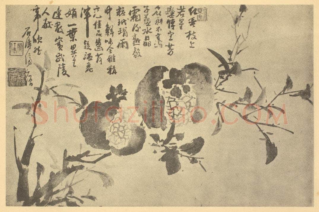 清 道济《石榴》国画作品