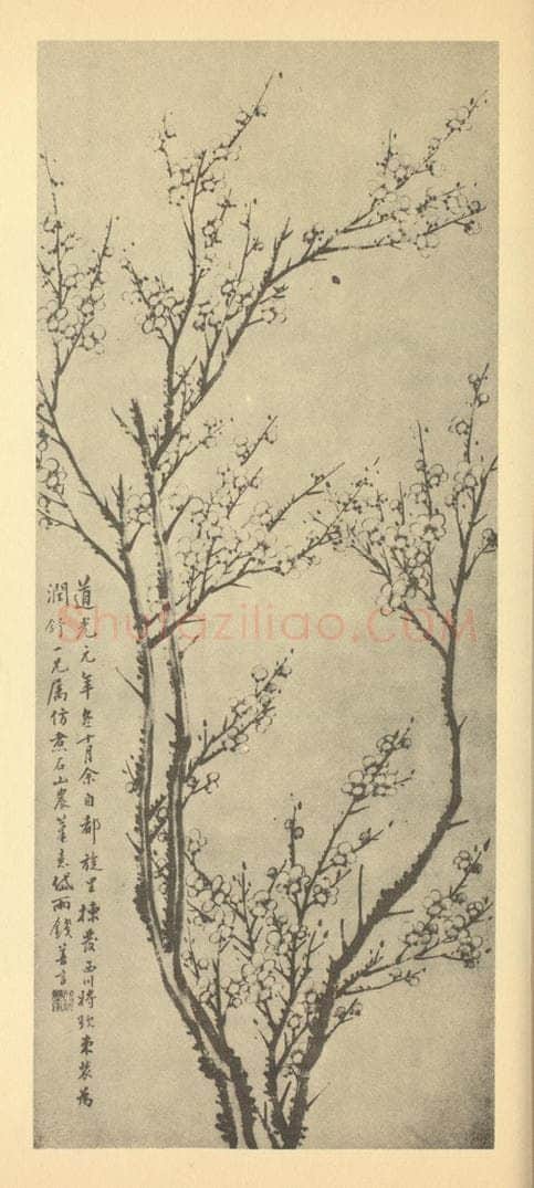 清 钱善言《梅花》国画作品