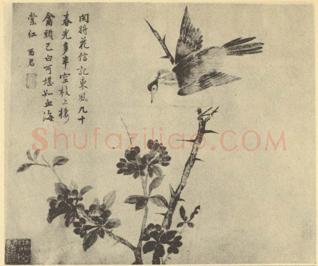 清 蒋廷锡《花鸟》国画作品