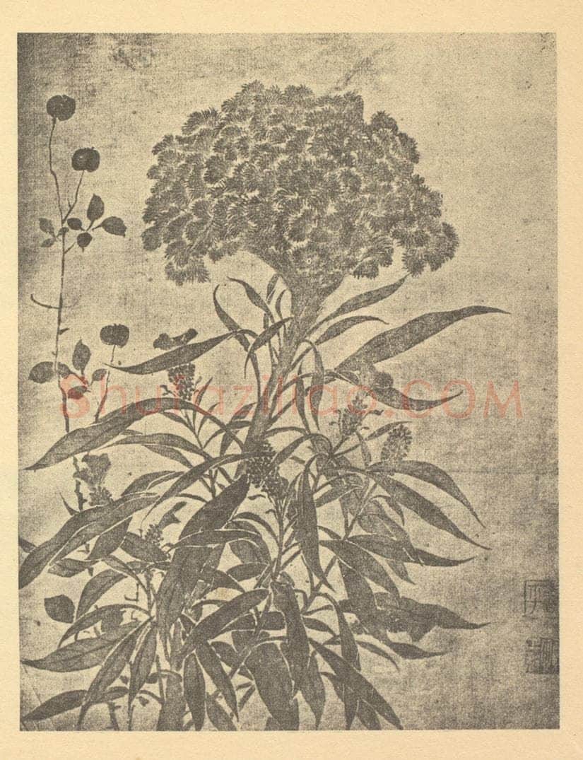 清 恽寿平《岁寒雅友》国画作品