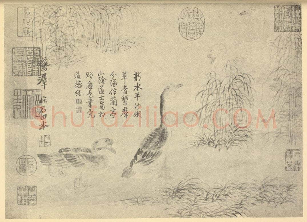 清 恽寿平《鹅群图》国画作品