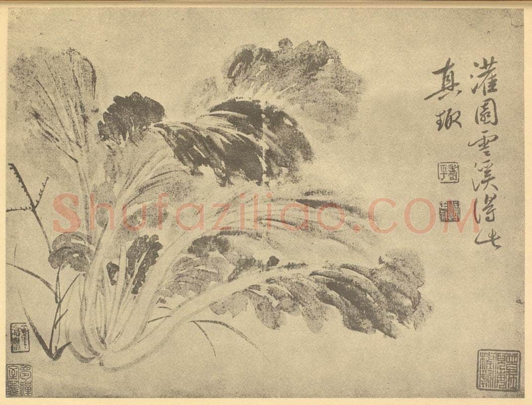 清 恽寿平《蔬菜图》国画作品