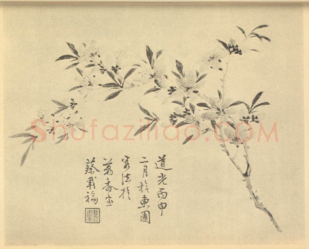 清 蔡载福《桃花》国画作品