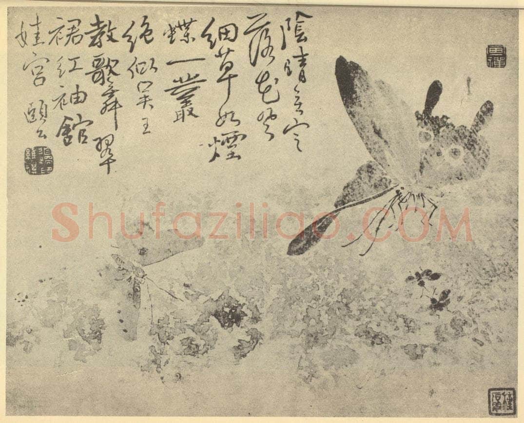 清 边寿民《蝴蝶图》国画作品