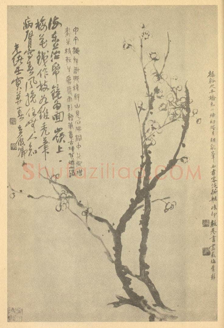 清 吴昌硕《梅花》国画作品