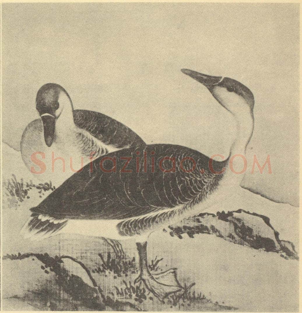 清 蒋廷锡《翎毛图(四)》国画作品