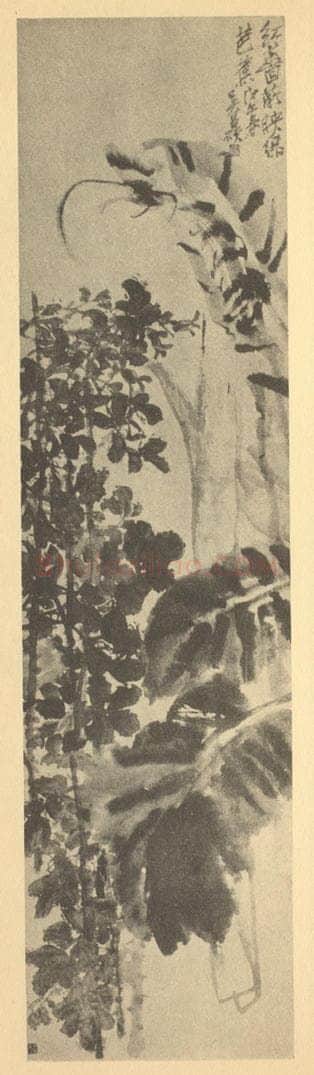清 吴昌硕《蔷薇·芭蕉》国画作品