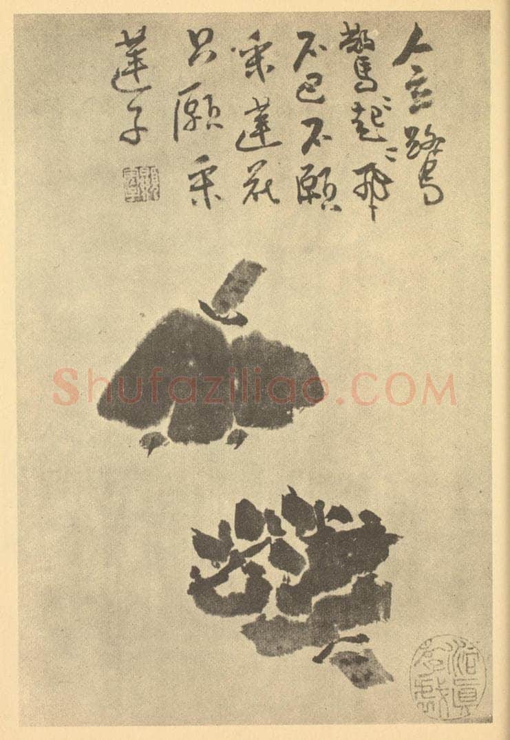 清 颠道人《莲子》国画作品