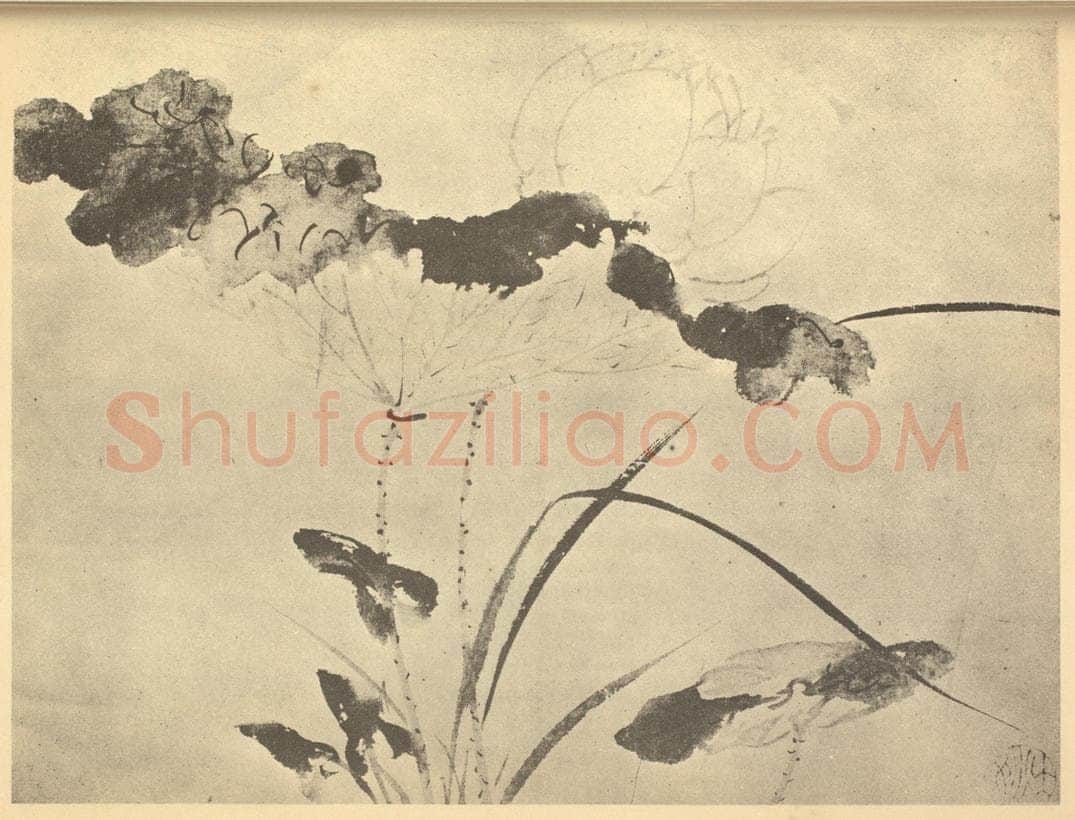 明 陈淳《荷花》国画作品