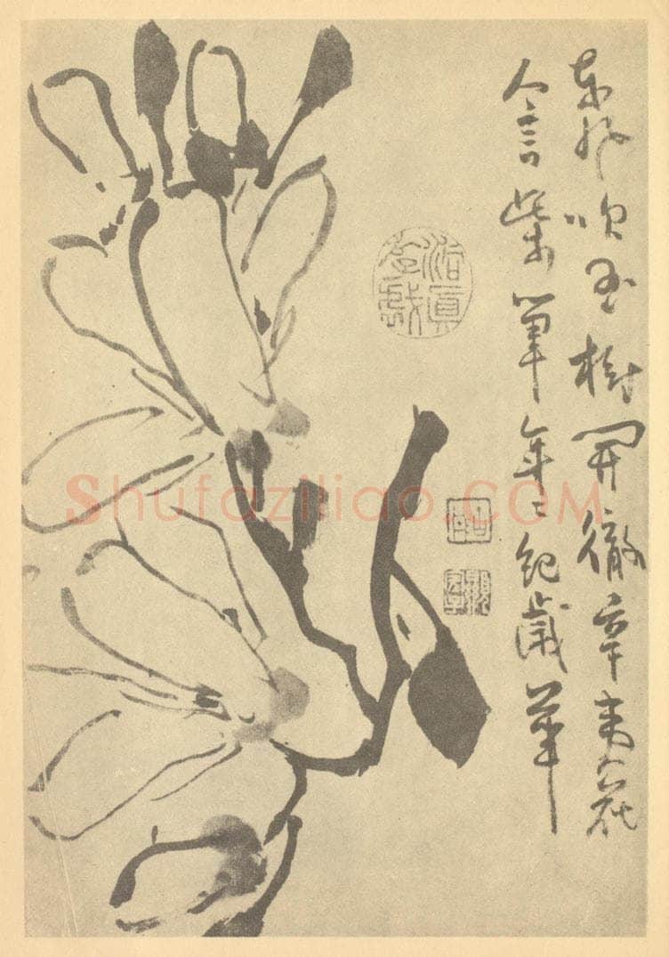清 顚道人《辛夷花》国画作品