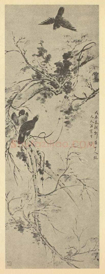 清 华岩《鸜鹆图》国画作品