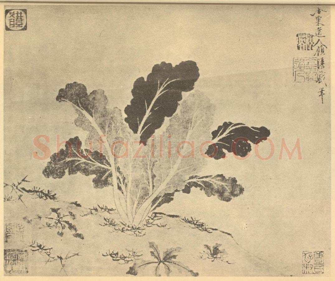 元 顾瑛《蔬菜图》国画作品