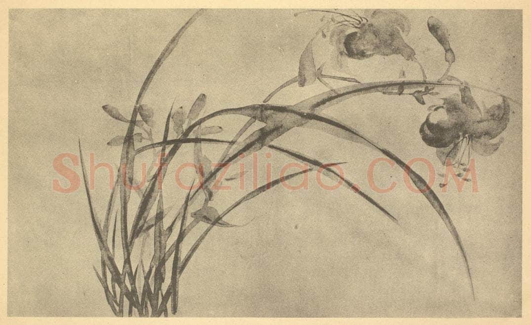 清 吴熙载《萱草》国画作品