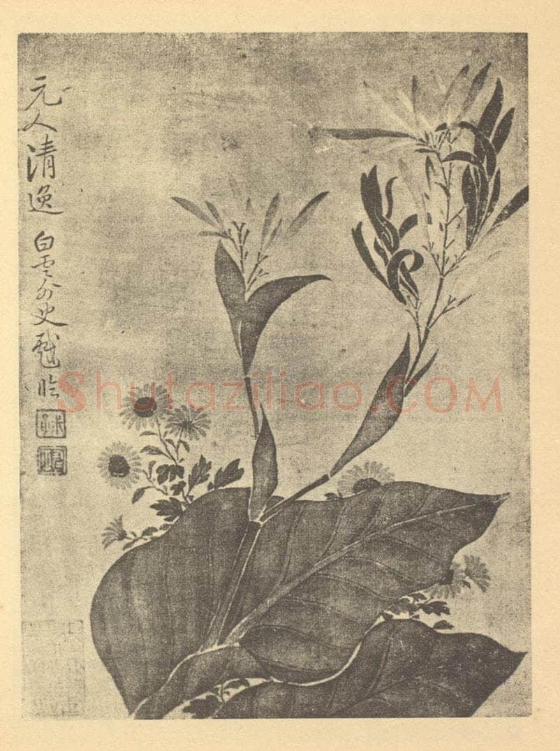清 恽寿平《凤仙花》国画作品