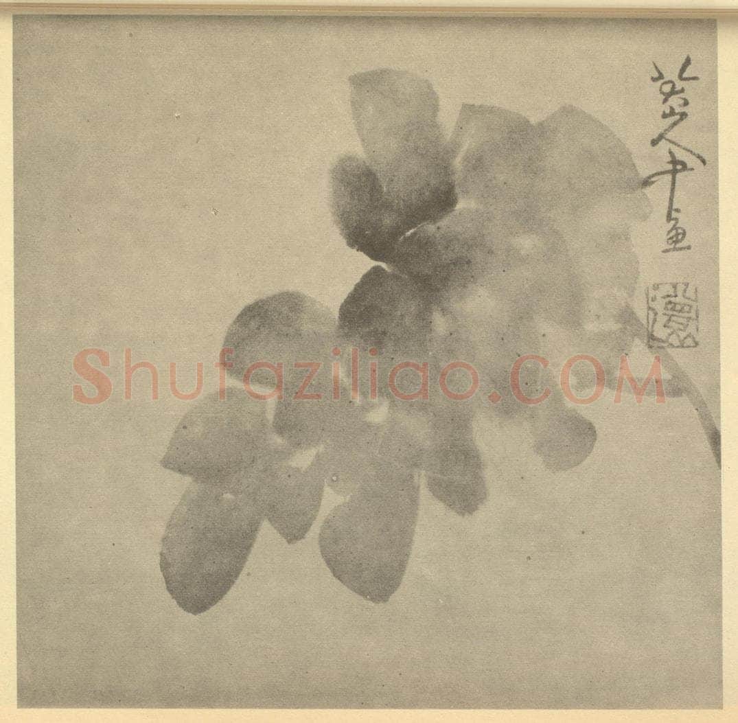 清 朱耷《牡丹》国画作品