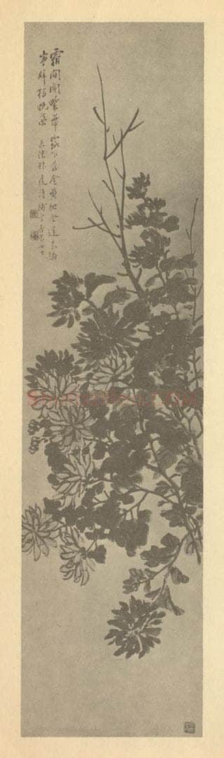 清 吴淑娟《菊》国画作品