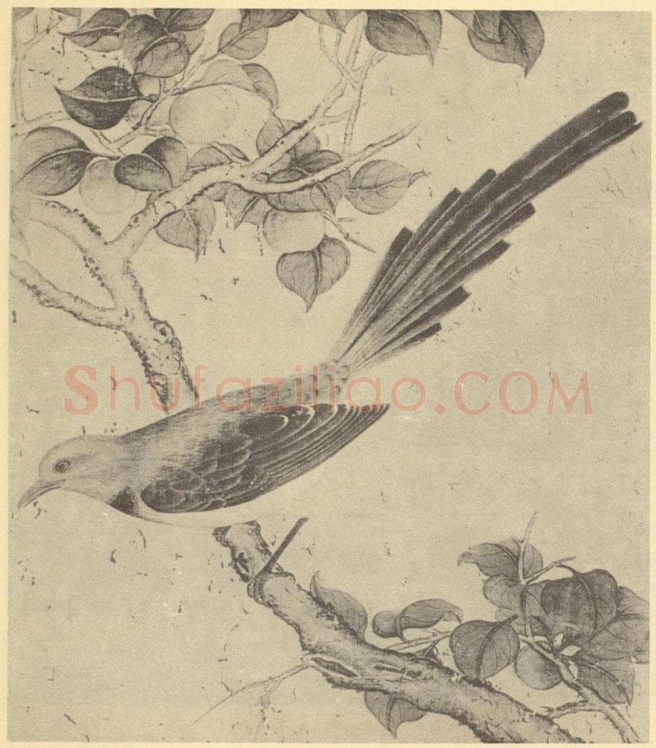 清 蒋廷锡《翎毛图(一)》国画作品