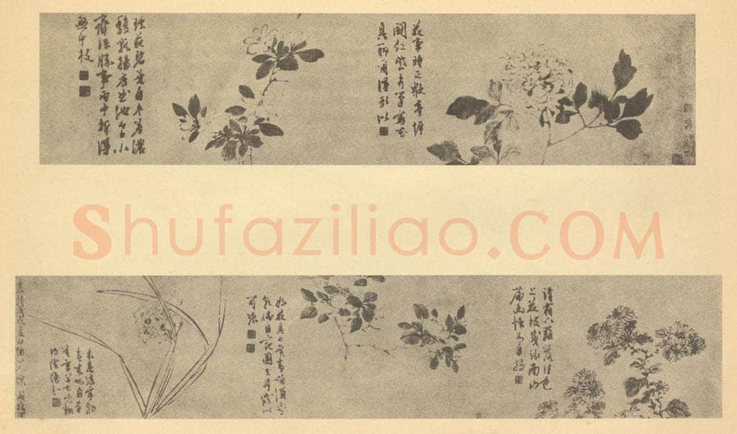 明 陈淳《花卉五图卷》国画作品